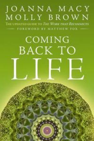 Coming back to life av Joanna Macy och Molly Young Brown